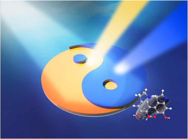 “基于可(kě)控表界面工(gōng)程的(de)聚合物(wù)納濾膜”獲系列新進展