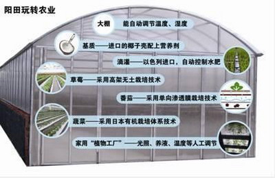 陽田農(nóng)科(kē)無土(tǔ)栽培科(kē)研大(dà)棚引進了(le)一(yī)種單向滲透膜技(jì)術(shù)