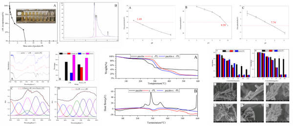 1640151678877186.png 35-2.png